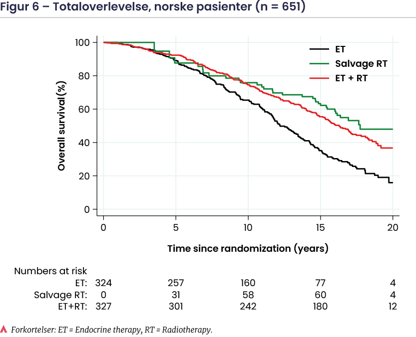 Bjørg Y Aksnessæther Figur 6