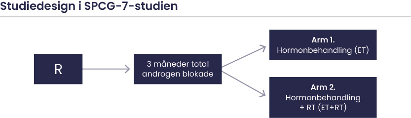 Bjørg Y Aksnessæther Studiedesign